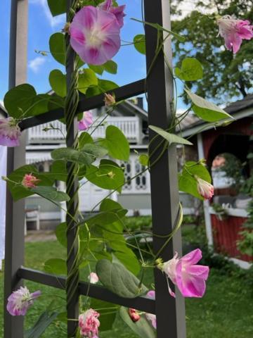 Asuntohotelli Kaivo Naantali Esterno foto